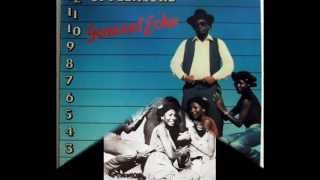 General Echo - It's My Desire To Set Your Crutches On Fire (12'' Of Pleasure - 1980)