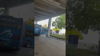 Download lagu See the longest bus found in Japan#japanbus #japantraffic #japantravel #japantraveller mp3