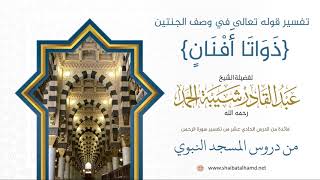 صورة 188 معنى ذواتا أفنان - الشيخ عبدالقادر شيبة الحمد رحمه الله