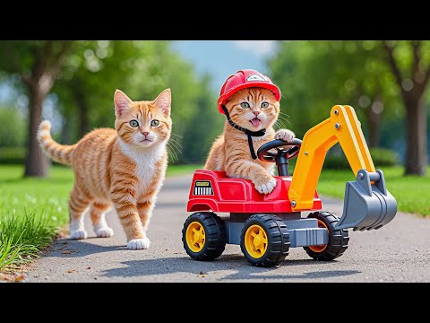 Mama Cat Works Hard at Bakery Shop to Buy a New Toy Excavator for Kitten Heartwarming Story 🐾🐱🥖🚜