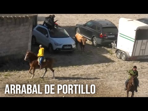Arrabal de Portillo 2024 Se Escapan Los Toros y Entran en el Pueblo.