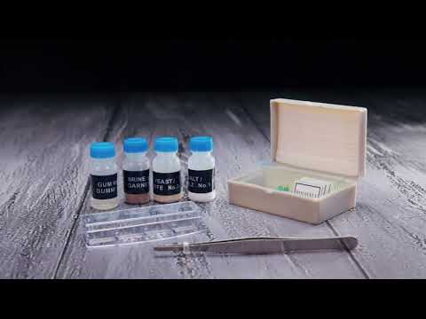 Микроскоп цифровой Levenhuk D70L, монокулярный