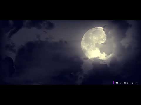 Hans Günter Wagener-Midsummer night's dream