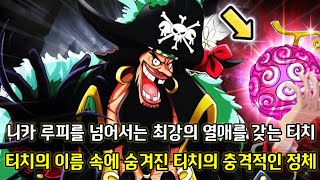 [원피스 분석]니카 루피를 넘어서는 최강의 열매를 갖는 티치 그리고 티치의 이름 속에 숨겨진 티치의 충격적인 정체