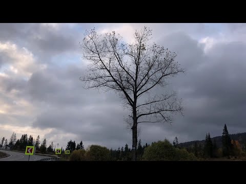 Віктор Павлік - Чиста роса (ранкова/дорожня) 2020 (Скрип колеса)