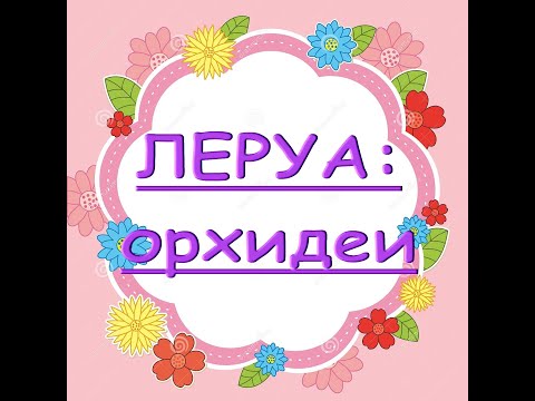 Леруа:ПОТРЯСАЮЩИЙ завоз ОРХИДЕЙ,19.09.20.Т"Космопорт",Самара.