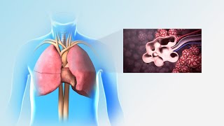 Pulmonary Rehabilitation | Nucleus Health