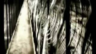 T.I f.t Justin Timberlake - Dead and Gone (Official Video)