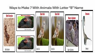 Fun With Numbers by Adding Ways to Make 7 With Animals With Letter B Name #1