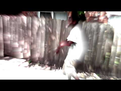 ARIGINAL Music Video