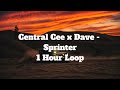 Central Cee x Dave - Sprinter - 1 Hour Loop