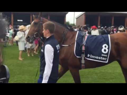 Derby 2016 winner Harzand with HM The Queen in Parade Ring.
