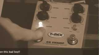 T-Rex Engineering Dr. Swamp Double Distortion Pedal - What To Know