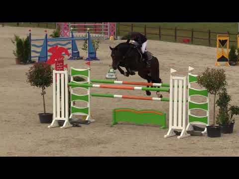 Turnierimpressionen - Adagio de Talma in Westergellersen (S**)