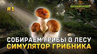 Mushrooms: Forest Walker #1 - Collecting mushrooms in the forest. Mushroom picker simulator (Firs...