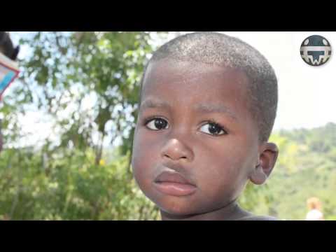 Die Wurzeln der Gewalt - Geschlagene Kinder - Alice Miller