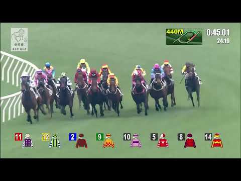 港經佬賽事重溫｜27-12-2021 沙田日馬第四場賽事重溫 (283)｜發財好市 UNTOLD RICHES (D414)｜楊明綸 M L Yeung｜丁冠豪 K H Ting｜免費心水及賽馬貼士