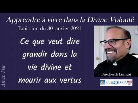 P. J. Iannuzzi - Ce que veut dire grandir dans la vie divine et mourir aux vertus