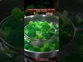 EASY VEGAN STIR FRIED BROCCOLI RECIPE Recipe Cooking Chinesefood Broccoli Vegan Vegetarian