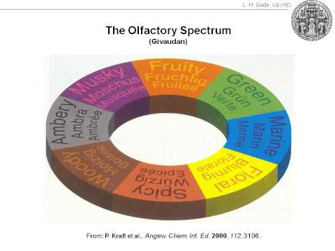 Wie der menschliche Geruchssinn verzaubert wird: Die Chemie des Parfüms