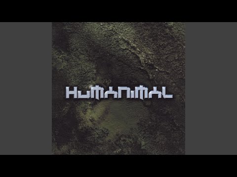 Feel the Burn (2019 Remaster)