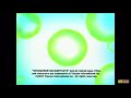 United Plankton Pictures Inc Nickelodeon 2007