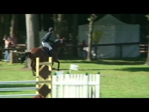 ♥ Royal Suze- jumping horse  by Quaprice Bois Margot