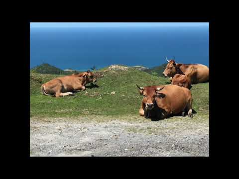 Casa Rural Arriondas