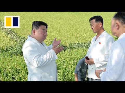 North Korea’s Kim visits typhoon-hit farmlands amid fears of food insecurity