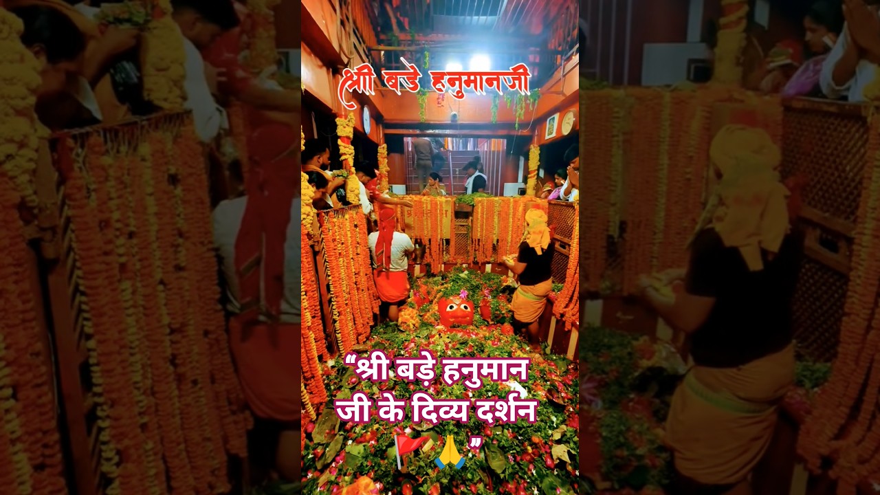 🚩 श्री बड़े हनुमान जी के अद्भुत दर्शन 🙏 फूलों से सजा दिव्य दरबार ❤️ #shorts