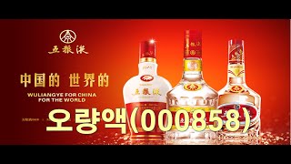 투자유망종목 오량액 五粮液 (000858)