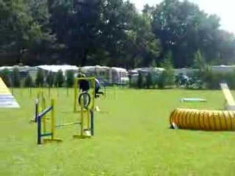 DVG Jugendmeisterschaft