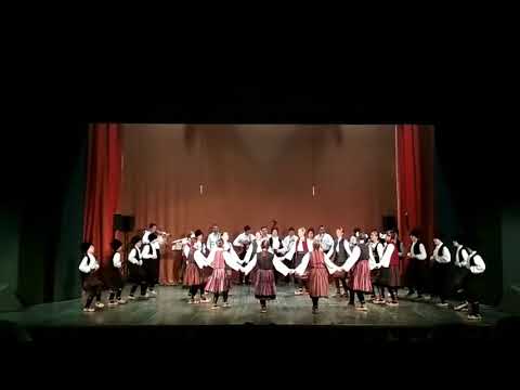 KUD "Branko Radicevic" Stara Pazova - starija grupa