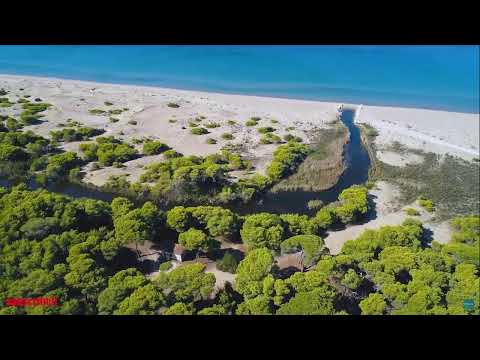 Kygo, Mike Perry, Avicii, Alok, Hugel, Cheat Codes, Lauren Daigle - Summer Vibes Deep House Mix