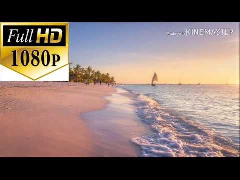 Ocean Bavas Relaxation half 1Hours Soothing Bavas Crushing in Beach |  Noise for sleep in revelation