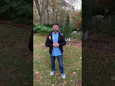 Top Things To Make More Brain Cells