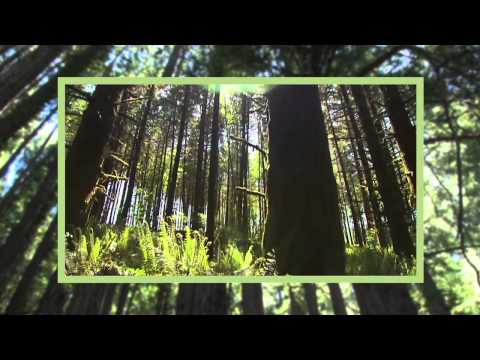 Region Two School of Applied Technology Forestry Program promotional video