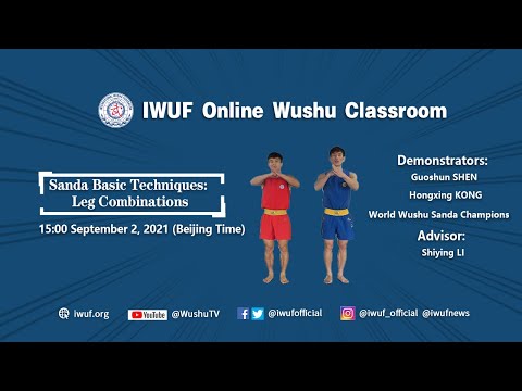 Sanda Basic Techniques:  Leg Combinations