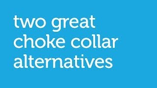 2 Alternatives to the Choke Collar for Loose Leash Dog Training (Petco)