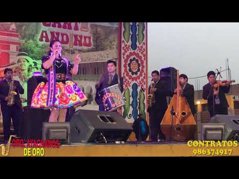 Ayacuchanos de Oro y Haydee Pizarro Mix Santiago