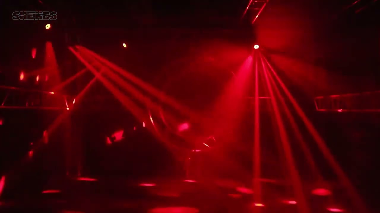 Location Lumière 2 Lyres Bee + laser