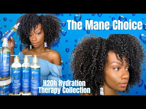 The Mane Choice H2Oh Hydration Therapy Collection |...