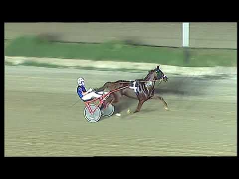 Napoli Trotto 06/08/2021 - prova di addestramento