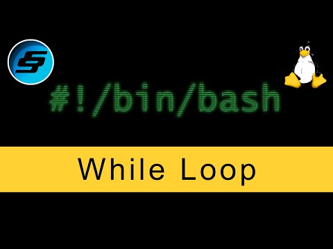 Bash vs Shell vs Command Line vs Terminal Bash Scripting