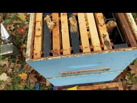 Double Screen Board for Overwintering a Nuc