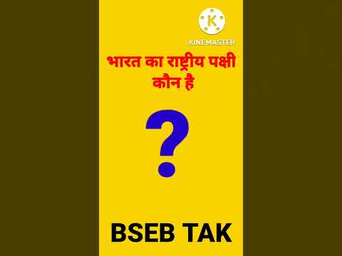 #gkinhindi  #gkmostquestion #gkgs #ctetquestions #ssc6 #sscchsl #gkgyan #youtubeshortsindia #bsebtak