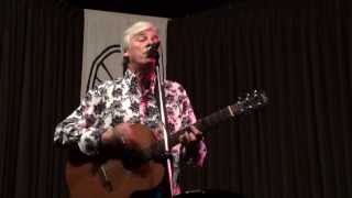 Robyn Hitchcock - Dismal City