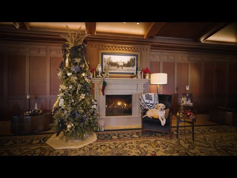 Irish Hearth: A Notre Dame Yule Log