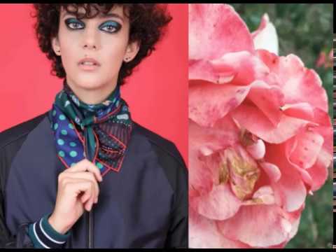 Alexandrakis - Spring Summer 2017