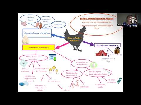 Research results and strategies on antimicrobial use reduction in Canadian poultry and their impact